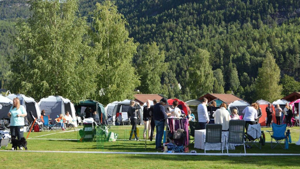 Glade campinggjester samles utenfor teltene på Sanda Camping en solfylt sommerdag, med skogkledde åser i bakgrunnen.