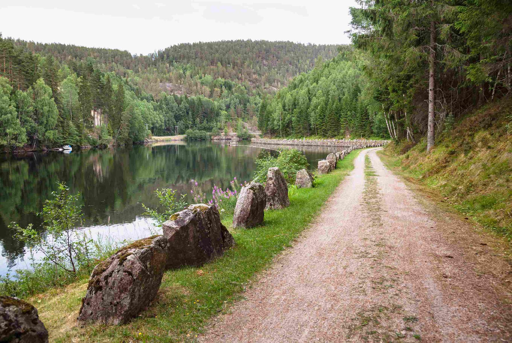 Grussti langs Telemarkskanalen, omgitt av frodig skog og speilblankt vann – populært område for vandring og overnatting i naturnære omgivelser.