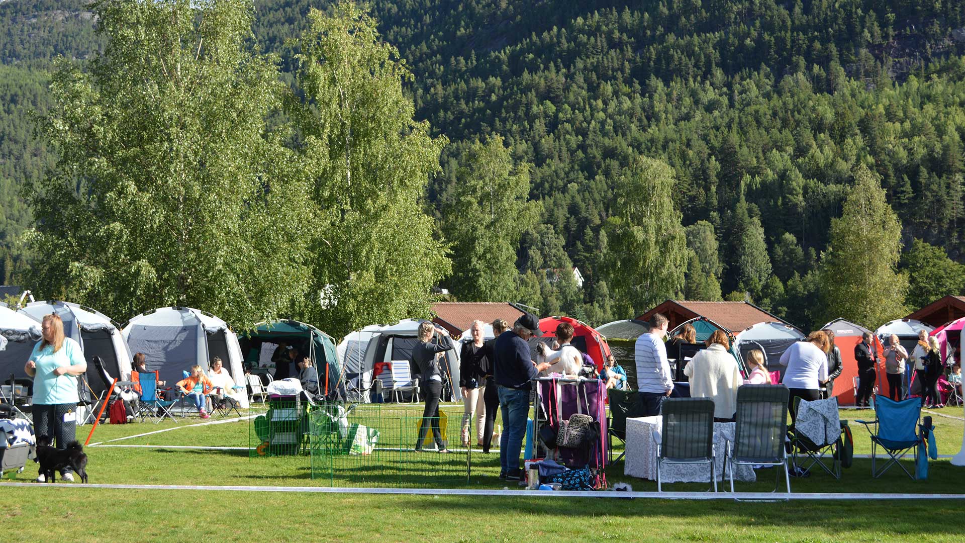 Spacious motorhome pitches at Sanda Camping in Bø, Telemark - modern facilities, free WiFi and an idyllic location by the Bøelva river. Perfect for summer and winter season camping.