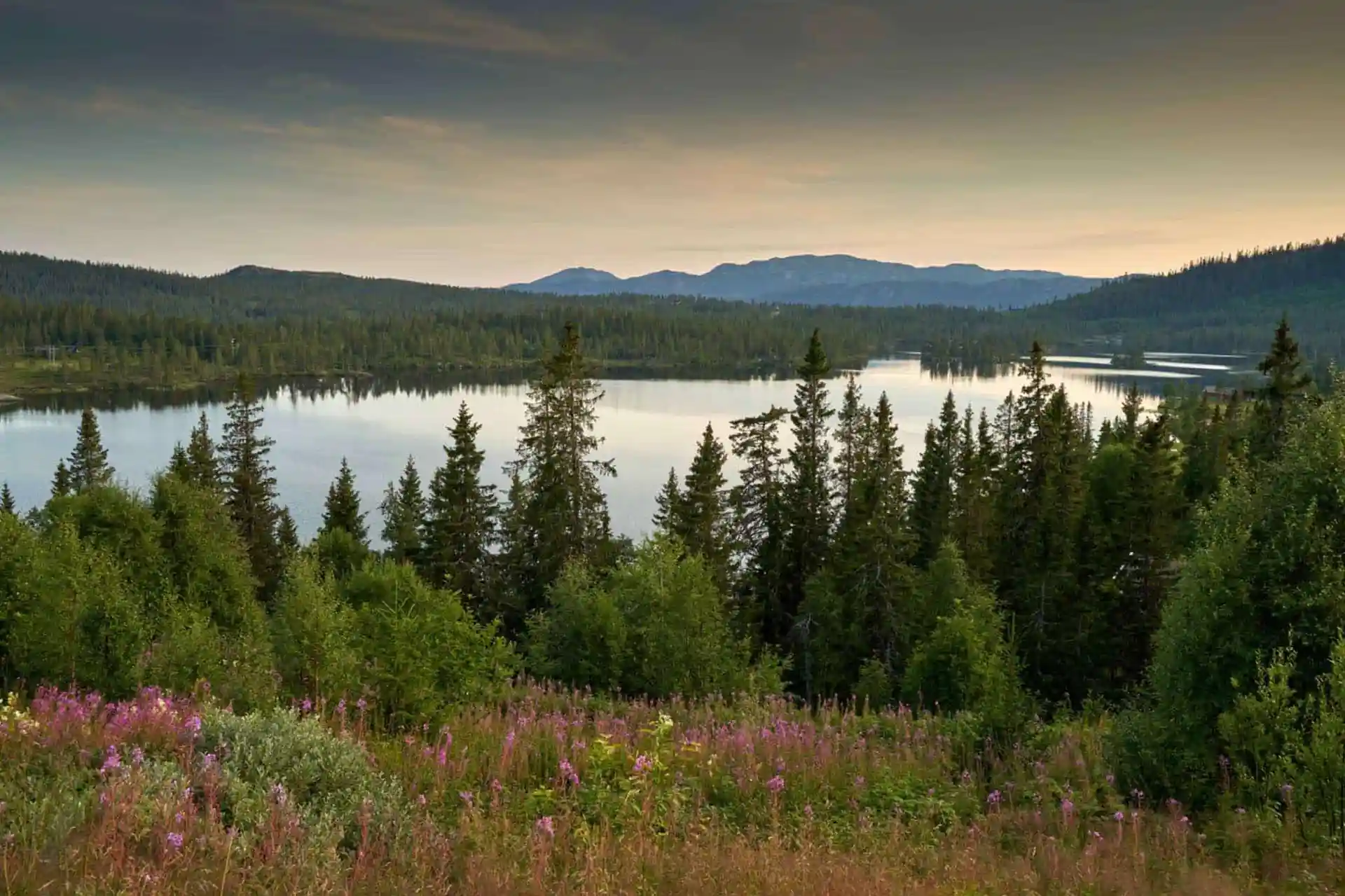 Camping i Bø på Sanda Camping – idyllisk beliggenhet ved Bøelva, nær Bø Sommarland og Lifjell. Romslige telt- og bobilplasser med strøm, moderne fasiliteter og familievennlig atmosfære.