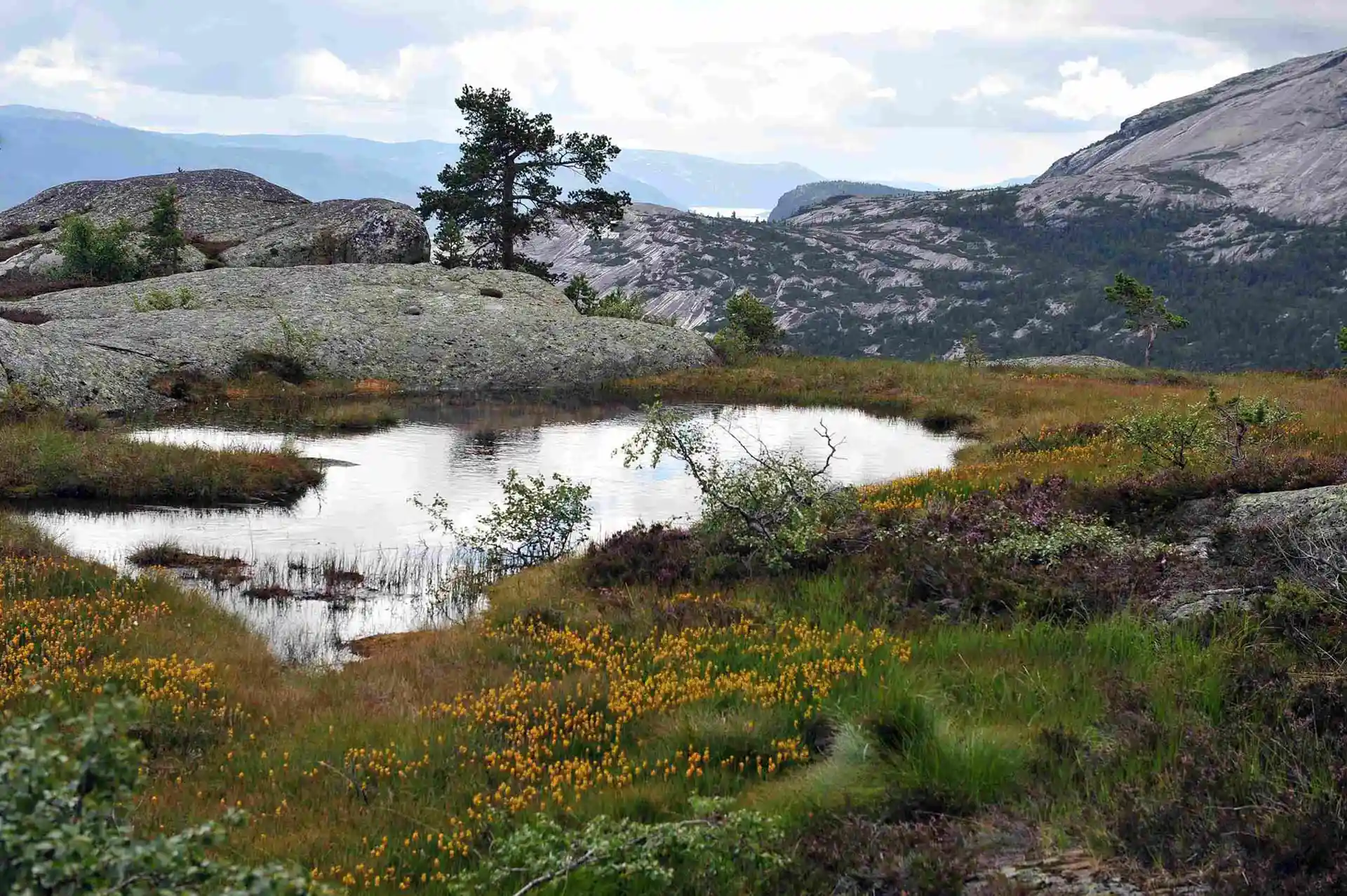 Opplev camping i Vrådal og nærområdet med Sanda Camping – rolige telt- og bobilplasser samt hytter ved Bøelva, kun 40 minutter fra Vrådal sentrum i Telemark.